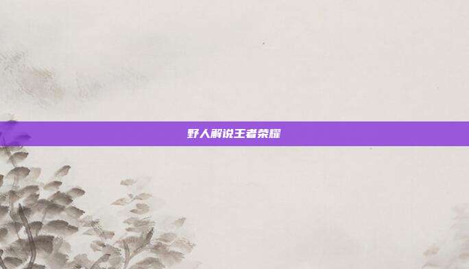 野人解说王者荣耀