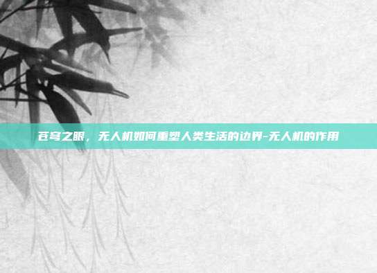 苍穹之眼，无人机如何重塑人类生活的边界-无人机的作用