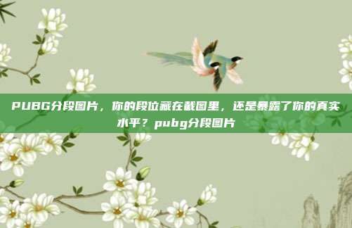 详细阅读:PUBG分段图片,你的段位藏在截图里,还是暴露了你的真实水平?pubg分段图片 PUBG分段图片,你的段位藏在截图里,还是暴露了你的真实水平?pubg分段图片