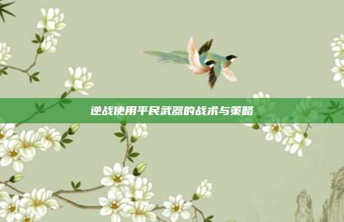 逆战使用平民武器的战术与策略