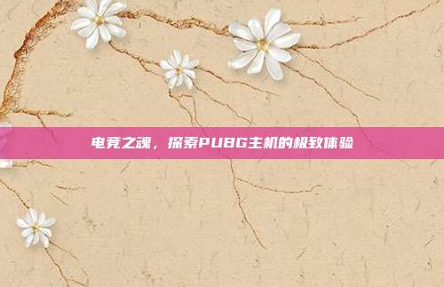 电竞之魂,探索PUBG主机的极致体验