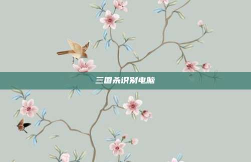 三国杀识别电脑