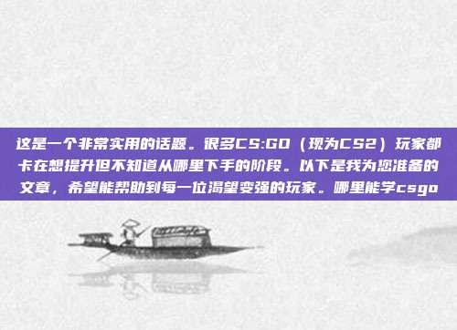 这是一个非常实用的话题。很多CS:GO（现为CS2）玩家都卡在想提升但不知道从哪里下手的阶段。以下是我为您准备的文章，希望能帮助到每一位渴望变强的玩家。哪里能学csgo