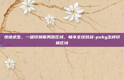 绝地求生，一键切换服务器区域，畅享全球对战-pubg怎样切换区域