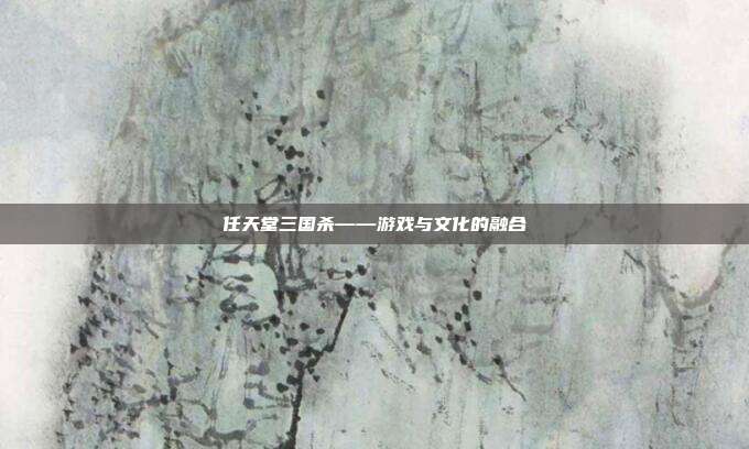 任天堂三国杀——游戏与文化的融合