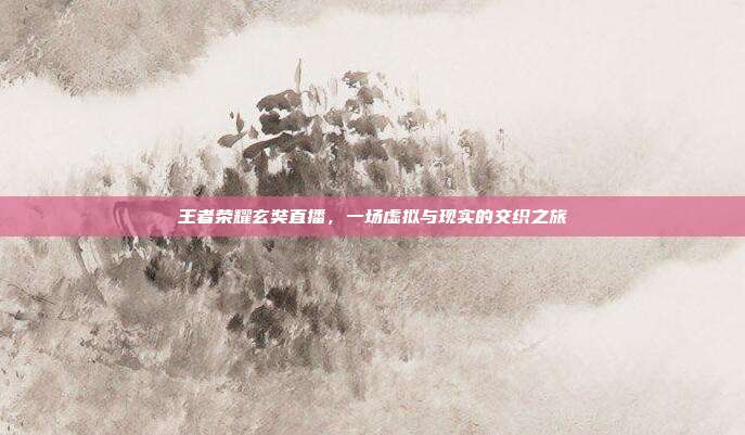 王者荣耀玄奘直播，一场虚拟与现实的交织之旅