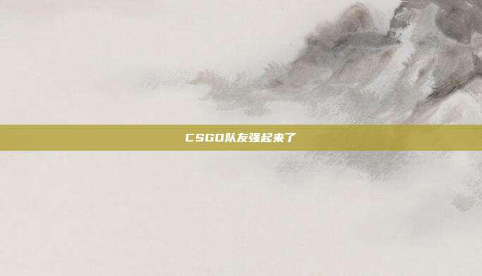 CSGO队友强起来了