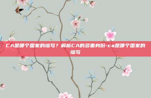 CA是哪个国家的缩写？解析CA的多重身份-ca是哪个国家的缩写