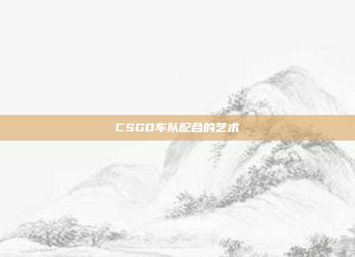 CSGO车队配合的艺术