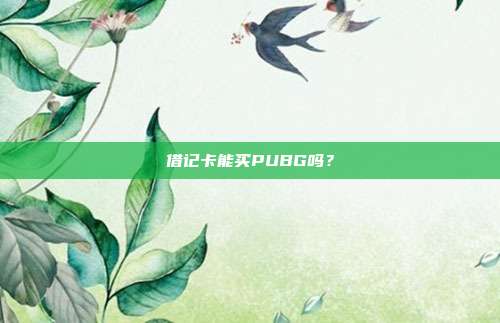 借记卡能买PUBG吗？
