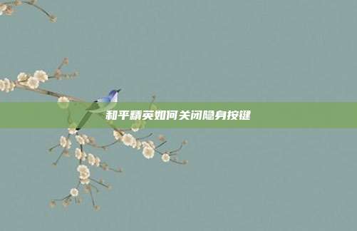 和平精英如何关闭隐身按键