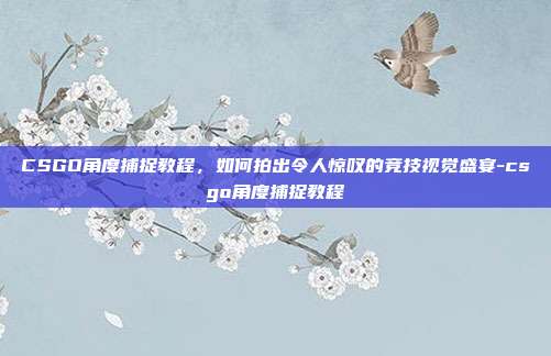 CSGO角度捕捉教程，如何拍出令人惊叹的竞技视觉盛宴-csgo角度捕捉教程