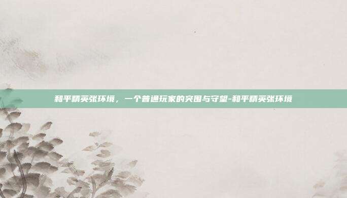 和平精英张环境,一个普通玩家的突围与守望-和平精英张环境