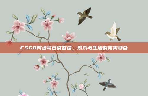 CSGO阿汤哥日常直播,游戏与生活的完美融合