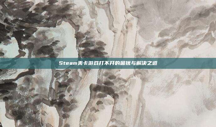 Steam美卡游戏打不开的困扰与解决之道