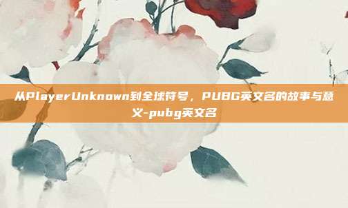 从PlayerUnknown到全球符号,PUBG英文名的故事与意义-pubg英文名