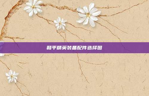 和平精英装备配件选择图