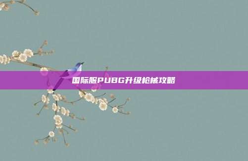 国际服PUBG升级枪械攻略