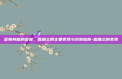 警惕身体的警报，直肠炎的主要表现与识别指南-直肠炎的表现