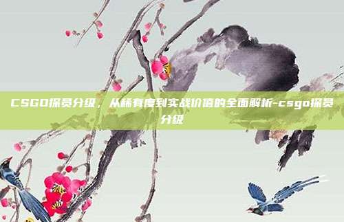 CSGO探员分级,从稀有度到实战价值的全面解析-csgo探员分级