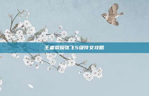 王者荣耀张飞5级符文攻略