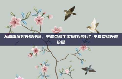 从曲面屏到升降按键,王者荣耀手游操作进化论-王者荣耀升降按键