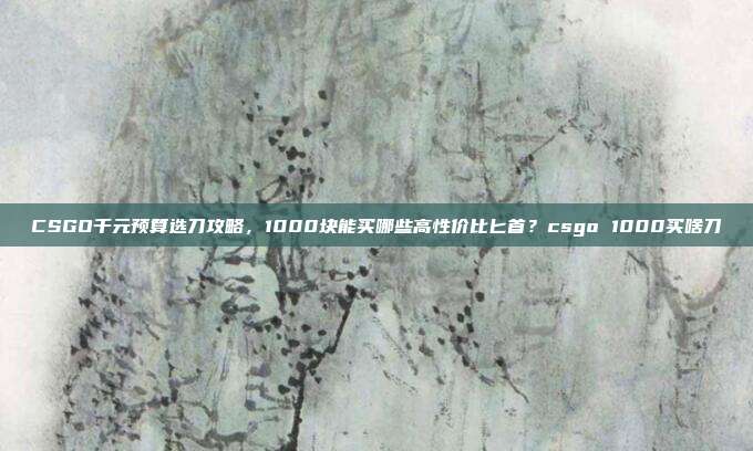 CSGO千元预算选刀攻略,1000块能买哪些高性价比匕首?csgo 1000买啥刀