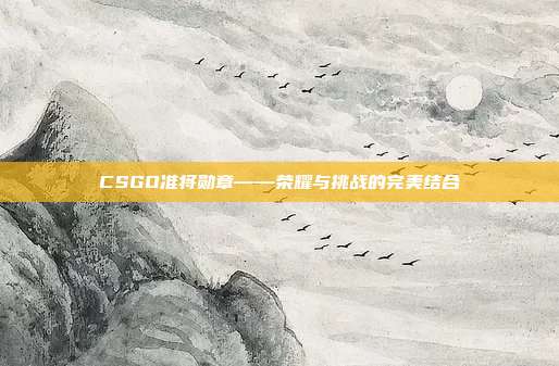 CSGO准将勋章——荣耀与挑战的完美结合