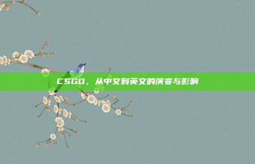 CSGO,从中文到英文的演变与影响