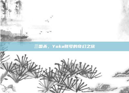 三国杀，Yoka账号的奇幻之旅