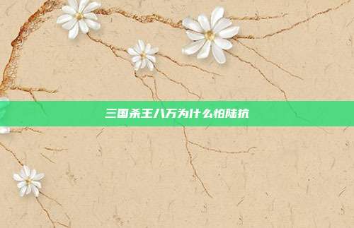 三国杀王八万为什么怕陆抗