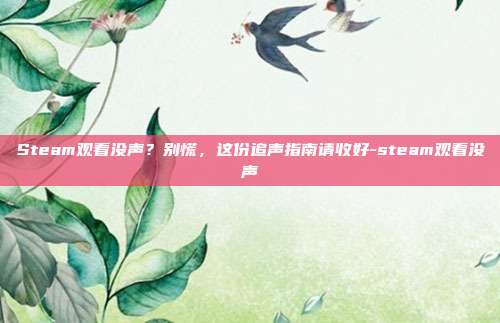 Steam观看没声?别慌,这份追声指南请收好-steam观看没声