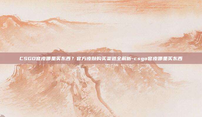 CSGO官皮哪里买东西?官方皮肤购买渠道全解析-csgo官皮哪里买东西