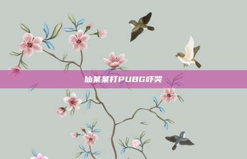仙某某打PUBG吓哭