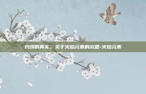 灼烧的真实,关于火焰元素的沉思-火焰元素