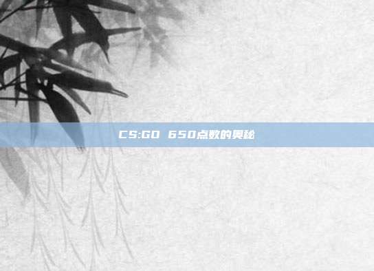 CS:GO 650点数的奥秘