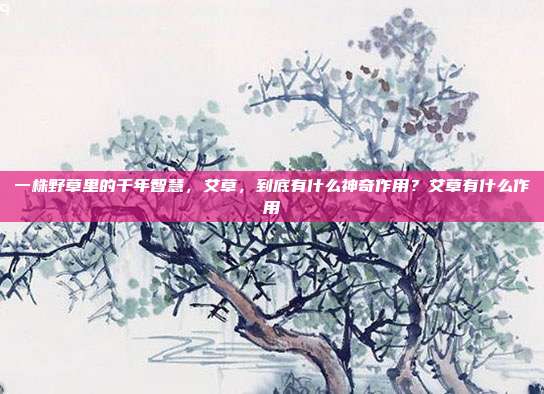 一株野草里的千年智慧,艾草,到底有什么神奇作用?艾草有什么作用