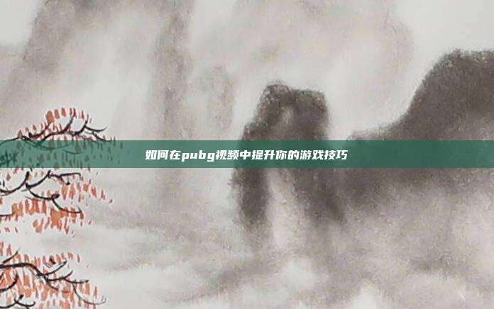 如何在pubg视频中提升你的游戏技巧