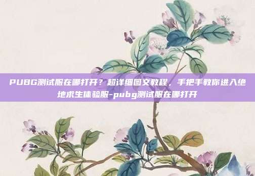 PUBG测试服在哪打开?超详细图文教程,手把手教你进入绝地求生体验服-pubg测试服在哪打开