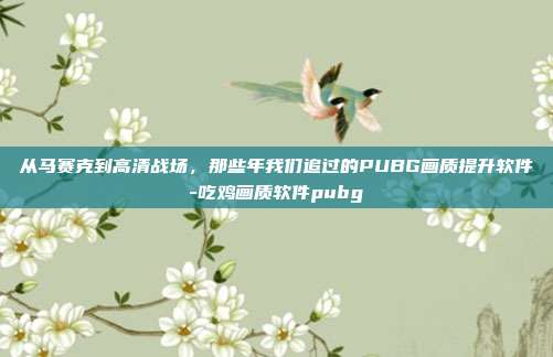 从马赛克到高清战场,那些年我们追过的PUBG画质提升软件-吃鸡画质软件pubg