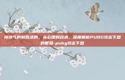 接地气的制胜法则,从心理到战术,深度解析PUBG攻击下盘的智慧-pubg攻击下盘