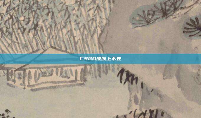 CSGO皮肤上不去