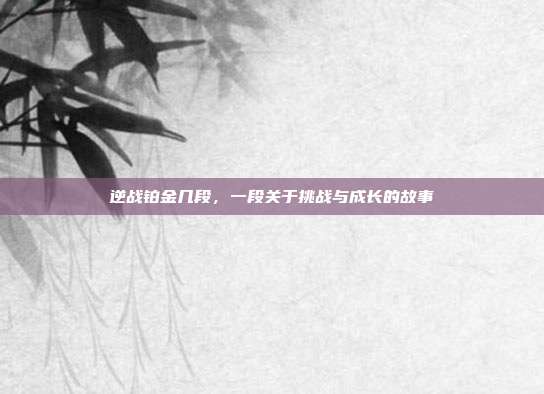 逆战铂金几段,一段关于挑战与成长的故事