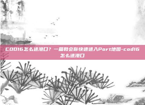 COD16怎么进港口?一篇教会你快速进入Port地图-cod16怎么进港口