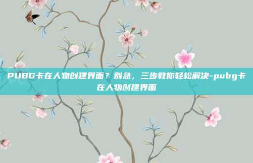 PUBG卡在人物创建界面？别急，三步教你轻松解决-pubg卡在人物创建界面