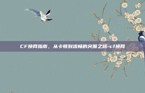 CF换网指南,从卡顿到流畅的突围之路-cf换网