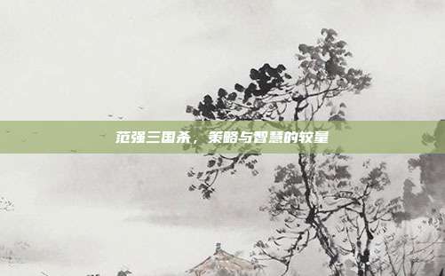 范强三国杀,策略与智慧的较量
