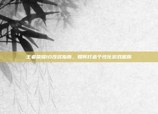 王者荣耀ID改名指南,如何打造个性化游戏昵称