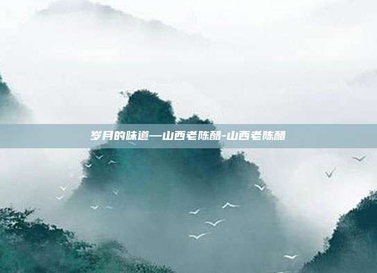 岁月的味道—山西老陈醋-山西老陈醋