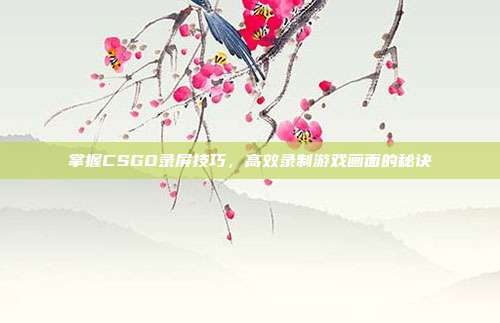 掌握CSGO录屏技巧,高效录制游戏画面的秘诀